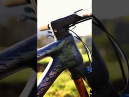 LYNX SLS | NEW SEASON, New colors & New Setups