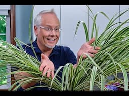 Episode 201  Arrangements from the Garden - Unexpected Arrangements from the Yard!