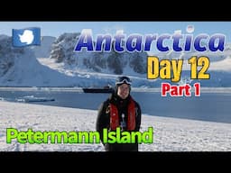 Whale and Gentoo Penguin Encounters at Petermann Island | Antarctica 2025 Expedition Day: 12