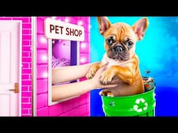 I Build a Secret Bunk Bed in a Pet Shop!