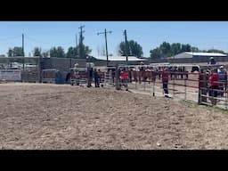 Stall High wants to congratulate Kynlee Corbus on her win today at her High School Rodeo! Using Stal