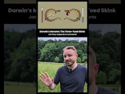 What Is Intelligent Design?