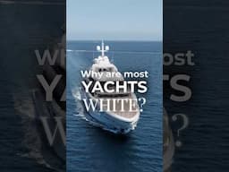 Ever wonder why most yachts are white ? 🛥️✨