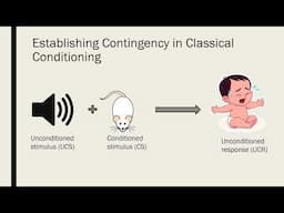 Contiguity and Contingency in Classical and Operant Conditioning