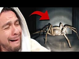 Faced a Huntsman Spider to Overcome my Fear.