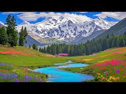 THE MOST BEAUTIFUL PLACES ON EARTH