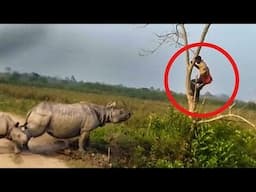आदमी गुस्सायै गैंडे के सामने फंस गया उतरते ही किया ऐसा 😲ll wild animal encounters