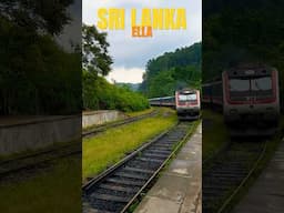 Train ride in Sri Lanka #ella #srilanka