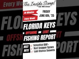 FL Keys Offshore Fishing Report | June 6th, ‘25 #fishingreport #reeffishing #floridakeysfishing