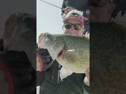 The Murray isn't the longest river in the world but It’s home to the best freshwater sportfish!