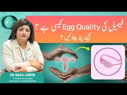 Female Egg Quality What It Is & How We Assess It