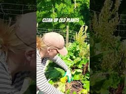It's Autumn !!!! #vegegarden #garden #autumn #gardenprep #foryou #homestead #growyourownfood