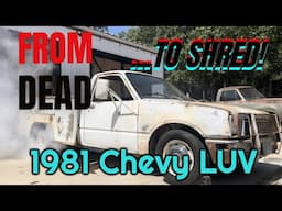 Reviving a 1981 Chevy LUV Service Truck After 23 Years