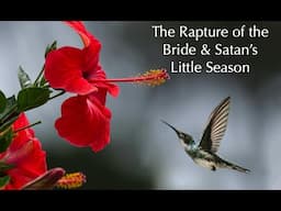 The Rapture of the Bride & Satan's Little Season