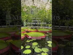 5 of my fave London neighbourhoods for a lazy weekend afternoon ❤️ ad own product #london