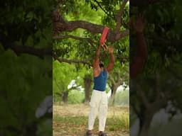 Desi Evening Routine and Workout