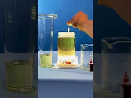 🧪 DIY Lava Lamp🔥🧪