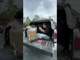 One of the most stressful days of my life #moving #flock #ducks #chickens #offgrid #offgridhomestead