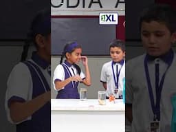 🍪 Can You Make a Biscuit FLOAT? | Fun Science Challenge with JIVIKA!