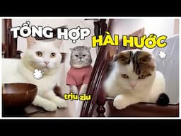 TỔNG HỢP NHỮNG TÌNH HUỐNG HỀ HƯỚC - XEM LÀ CƯỜI  | maly.gaugau