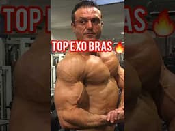 DES BRAS + MASSIFS❗️ #fitness #bodybuilding  #fitnesstips #shortvideo #shorts #short #musculation