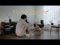 16살 노견과 살고 있습니다 | 나이가 들며 변화하는 것들