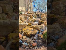 💦 Yes, this can be in your yard! Peace, beauty, and sound—let’s make it happen. #garden #aquascape