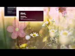 PREMIERE: Krestovsky - Bloom From Another Room