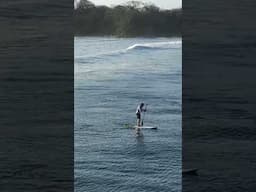 Stand Up Paddle Surfing Paradise From Above #standuppaddle #paddlesurf #paddleboard