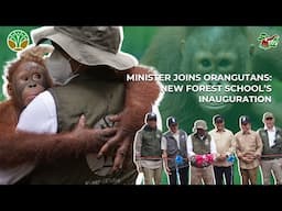 MINISTER JOINS ORANGUTANS: NEW JUNGLE SCHOOL INAUGURATION