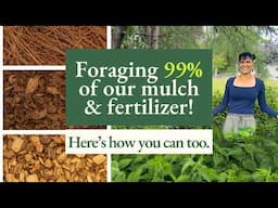 Back to Eden Gardening - Cold Climate Permaculture