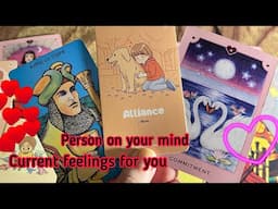Person on your mind : Current Feeling/emotions of your person💞Hindi tarot card reading