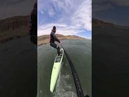 DW run on the new Flying Fish board