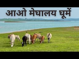 I’ve Reached Meghalaya, the Northeast Heaven | Solo Bike Trip, Northeast India |