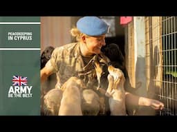 Puppies, PT, and Public Order Capabilities | Peacekeeping in Cyprus Episode 2 | British Army