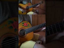 Ace Combat Zero Guitar
