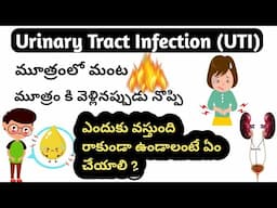 Urinary Tract Infection Detailed Video in Telugu| మూత్ర నాళ ఇన్ఫెక్షన్