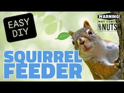 Craft a Stunning Squirrel Feeder from Cedar Wood – Easy DIY Tutorial