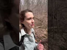 Day Two on the Sheltowee Trace!!