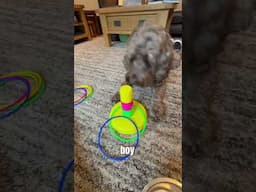 Watson plays ring toss!