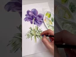 Violet Anemone painting process #anemone #springflower #everydaywatercolor #watercolorpainting