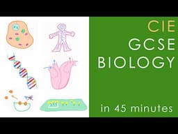 All of CIE BIOLOGY iGCSE in 45 mins - International GCSE O-level Science