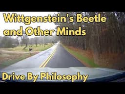 Wittgenstein’s Beetle and the Mystery of Other Minds