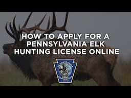 How To Apply For A Pennsylvania Elk Hunting License Online
