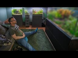 Thoughts on aquascaping contests and other stuff (4K)
