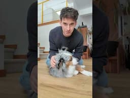 We said goodbye to the dog