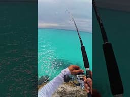 🔥 A BREATHTAKING Evening Hookup in Clear Water!