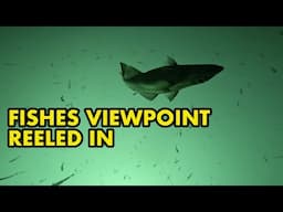 Reeled in from Fishes POV