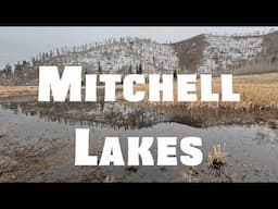 Mitchell Lakes: Hiking A Hidden Gem in Durango's Mountains