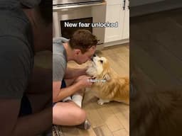 Immediate trust issues